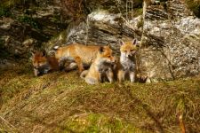 2012-05-20-08-51_01_DxO-web