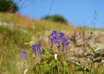 2013-07-25-09-01_DxO